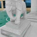 甘肃 白麻花岗岩动物异形石雕-大象