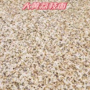 甘肃黄金麻大黄荔枝面