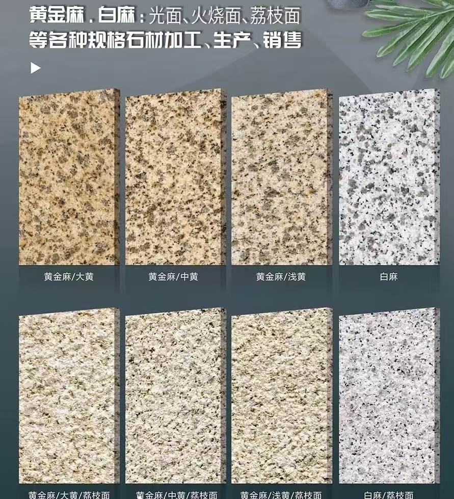 甘肃 黄金麻白麻样品展示