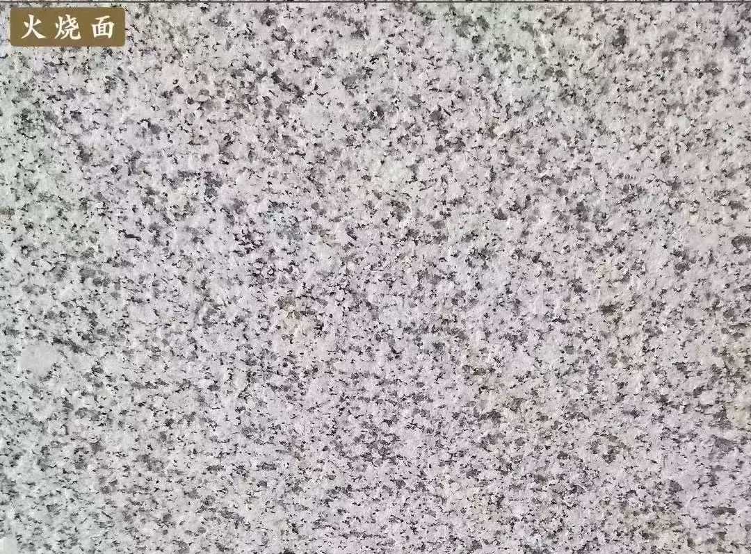 甘肃白麻火烧面