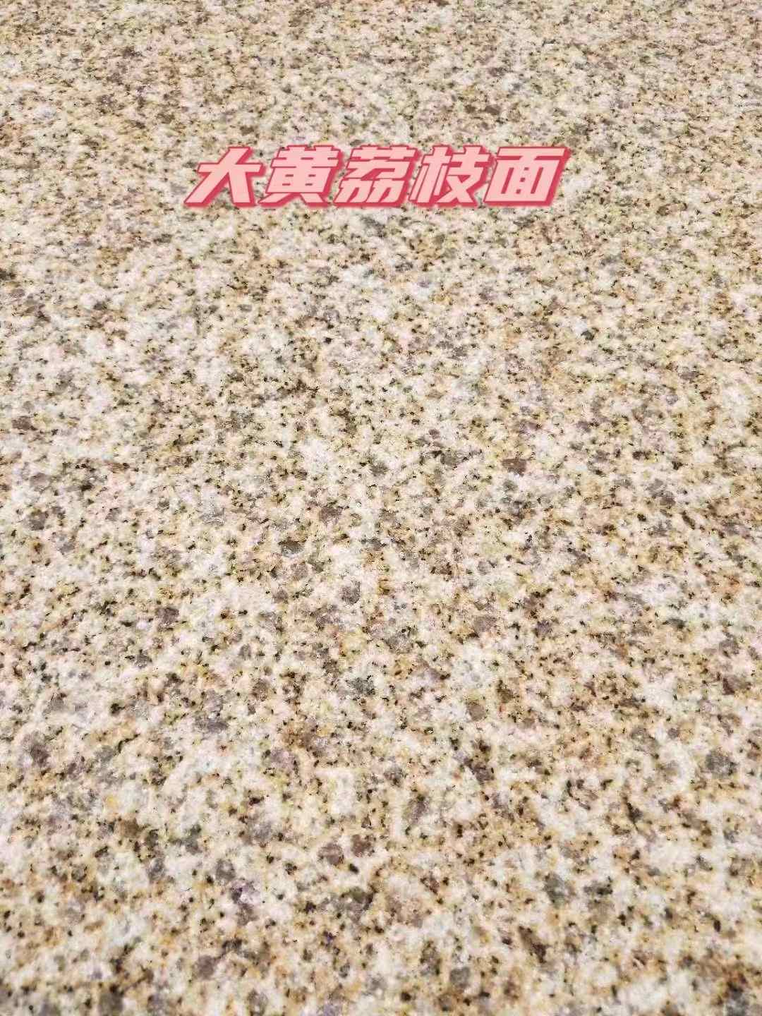 甘肃黄金麻大黄荔枝面